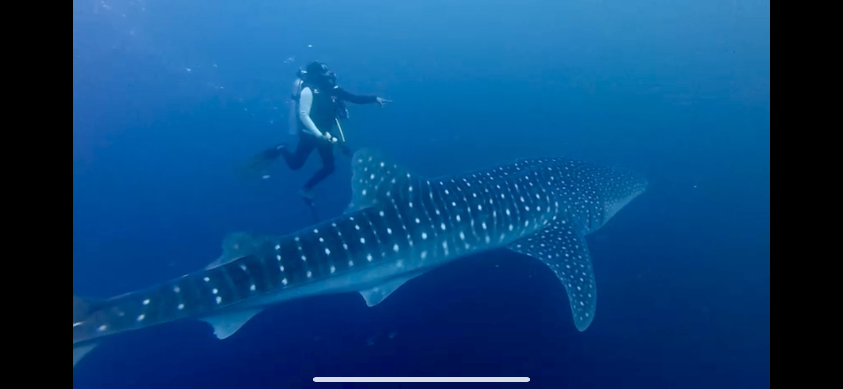 Golden sunset at sea